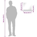 vidaXL Miroir mural avec étagère 40x40 cm Verre trempé