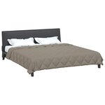 vidaXL Duvet complet toute l'année Gris clair 220 x 200 cm Microfibre