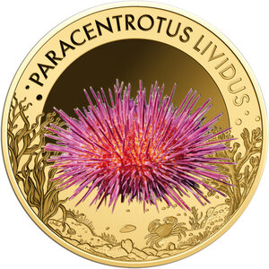 Monnaie PURPLE SEA URCHIN Sea Creatures 1/1000 Oz Or 3000 Francs Chad (PRÉCOMMANDE)