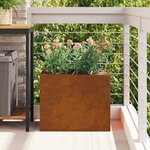 vidaXL Cache-pot de jardin Marron 50 x 32 x 40 cm Acier vieilli