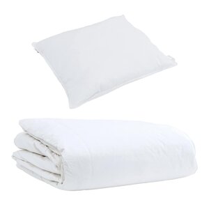vidaXL Duvet d'été simple avec oreiller 2 Pièces Blanc Plume de canard