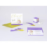Paquet de 25 cartes simples 210g 82x128 ivoire clairefontaine