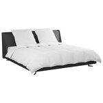 vidaXL Ensemble de Duvet avec oreiller 3 pc Blanc Plume de canard
