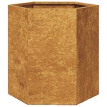 vidaXL Jardinière hexagone 46x40x45 cm acier résistant aux intempéries