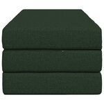 vidaXL Canapé-lit pliable 160 x 67 x 45 cm Vert foncé