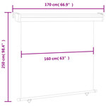 vidaXL Auvent latéral de balcon 170x250 cm Crème