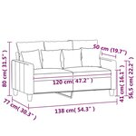 vidaXL Canapé à 2 places Gris clair 120 cm Velours