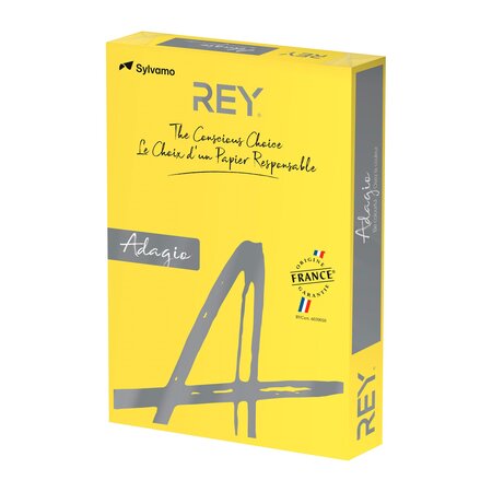 Ramette papier couleur rey adagio couleurs intenses a3 80 gr - 500