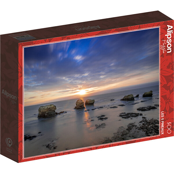 Puzzle 500 Pièces les 5 Pineaux