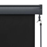 vidaXL Store roulant d'extérieur 60 x 250 cm Anthracite
