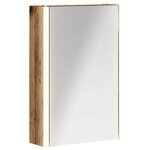 vidaXL Armoire Miroir de Salle de Bain Bois ancien 33 x 11 5 x 50 cm