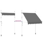 vidaXL Auvent manuel rétractable 200 cm Anthracite