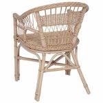 vidaXL Chaise empilable Rotin Naturel 60 x 60 x 81 cm