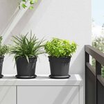vidaXL Plateau à fleurs rond 24 Pièces Noir Ø 15 5 x 2 cm Plastique