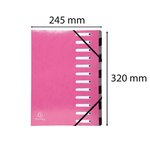 Trieur extens.CL pellic.12C Iderama rose EXACOMPTA