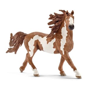 FARM WORLD Etalon Pinto -