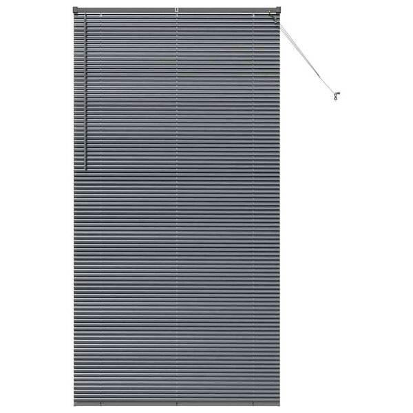 vidaXL Store de Fenêtre avec des rideaux Manuel Gris foncé Aluminium