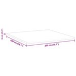vidaXL Coussins de Matelas Blanc 200 x 200 cm