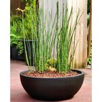 RIVIERA - Coupe pot de fleurs - granit D40 - noir