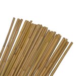 Lot de 10 tuteurs pour plantes et légumes - En bambou - Hauteur : 60 cm