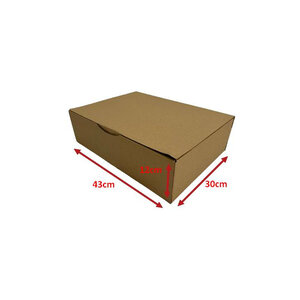 50 Boites postales cartons 43 x 30 x 12 cm (430x300x120mm)