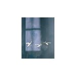 Crane Dance
