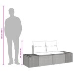vidaXL Canapé de jardin 2 places avec rangements et coussins Gris Poly Rotin