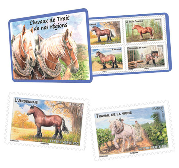 Carnet - Chevaux de Trait de nos régions