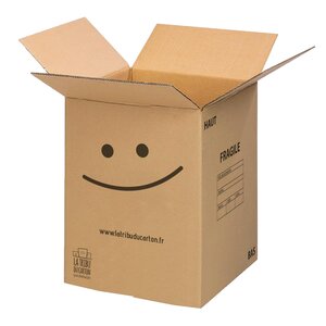 Lot de 10 grands Cartons ultra renforcés charge lourde