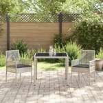 vidaXL Ensemble de salle à manger pour jardin 3 Pièces Gris clair