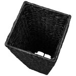 vidaXL Lits surélevés 3 Pièces Jacinthe d'eau Noir