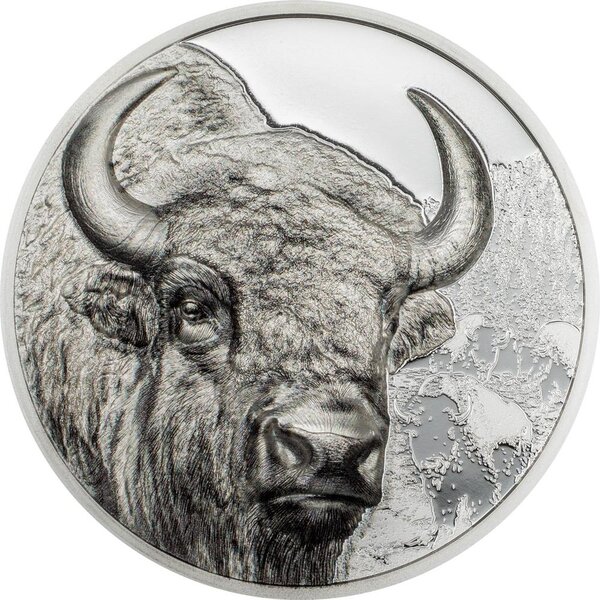 Pièce de monnaie en Argent 500 Togrog g 31.1 (1 oz) Millésime 2025 Wild Mongolia BISON