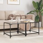 vidaXL Tables basses avec dessus en verre transparent 2 Pièces acier