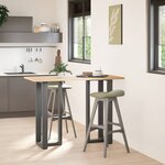 vidaXL Pieds de table de bar en T  2 pièces  anthracite  50 x 35 x (100-101) cm  acier