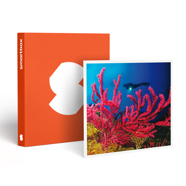 SMARTBOX - Coffret Cadeau Baptême de plongée passionnant de 3h en duo au large de Fréjus -  Sport & Aventure