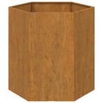 vidaXL Jardinière Rouillé 40x40x45 cm Acier corten