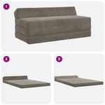 vidaXL Canapé-lit pliable Gris clair 120 x 60 x 49 cm Tissu