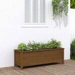 vidaXL Lit surélevé de jardin brun miel 119 5x40x39 cm bois pin massif