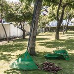 Balai à feuilles de jardin - Suan - Grande taille avec 27 dents