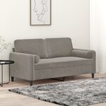 vidaXL Canapé 2 places oreillers et coussins Gris clair 140 cm Velours
