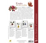 Collector 4 timbres - Les fruits d'automne - Lettre Verte