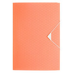 Chemises à élastiques 3 rabats plastique format a4 - esselte colour’breeze - assorties - lot de 20