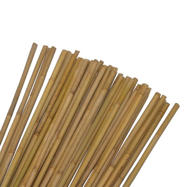 Lot de 10 tuteurs pour plantes et légumes - En bambou - Hauteur : 60 cm