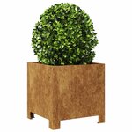 vidaXL Jardinières 2 Pièces 30x30x30 cm acier résistant aux intempéries