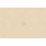 Chemise À Élastiques Maxi Capacity Carte Lustrée 425gm2 - A4 - Ivoire - X 25 - Exacompta
