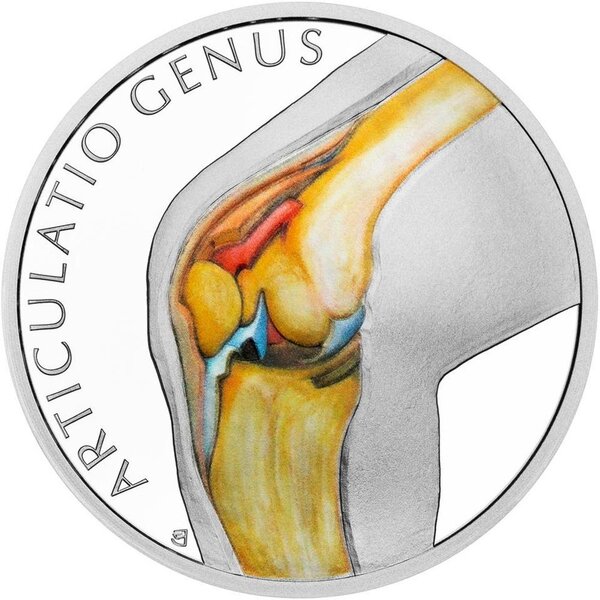 Pièce de monnaie en Argent 1 Dollar g 31.1 (1 oz) Millésime 2025 Human Body KNEE JOINT (PRÉCOMMANDE)