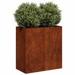 vidaXL Jardinière rouillé 80x40x80 cm acier inoxydable