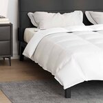 vidaXL Duvet d'été simple Blanc 200 x 220 cm Plume