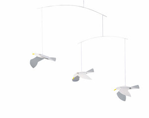 Soaring Seagulls