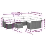 vidaXL Salon de jardin 11 Pièces avec coussins noir résine tressée